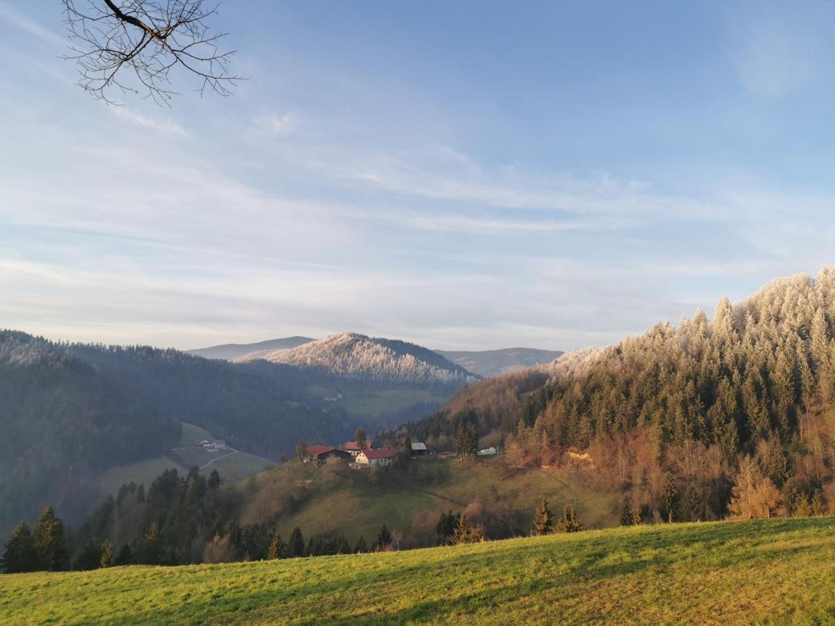 Villa Richterberg With Sauna & Hot Tub Slovenj Gradec Exterior foto